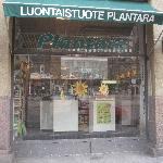 Tilattu Plantaran toimesta näyteikkunatasot,joita voidaan somistaa vapaasti.